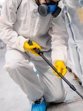 Control-de-Plagas-1-min-min